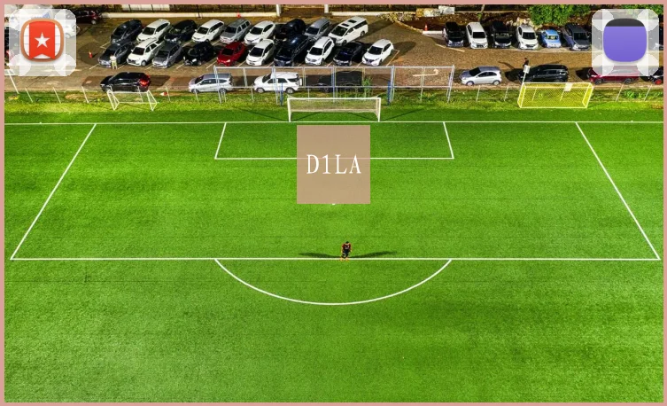 D1LA