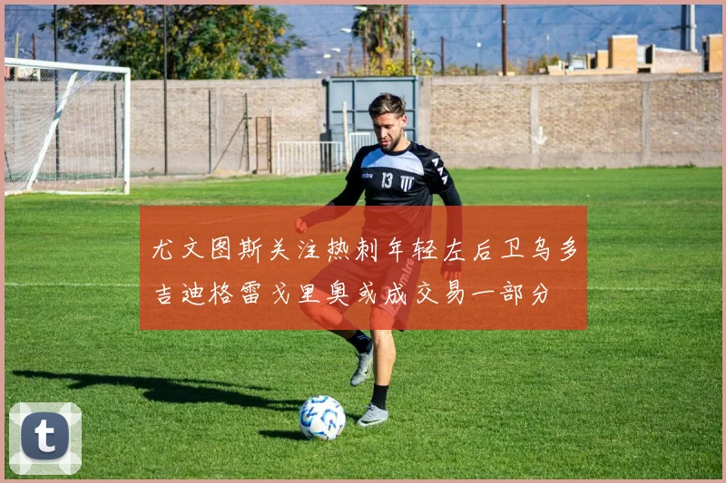 尤文图斯关注热刺年轻左后卫乌多吉迪格雷戈里奥或成交易一部分