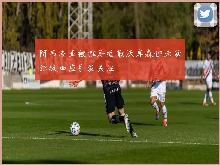 阿韦洛亚被推荐给勒沃库森但未获积极回应引发关注