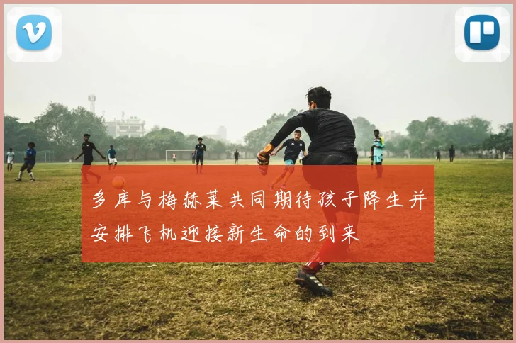 多库与梅赫莱共同期待孩子降生并安排飞机迎接新生命的到来