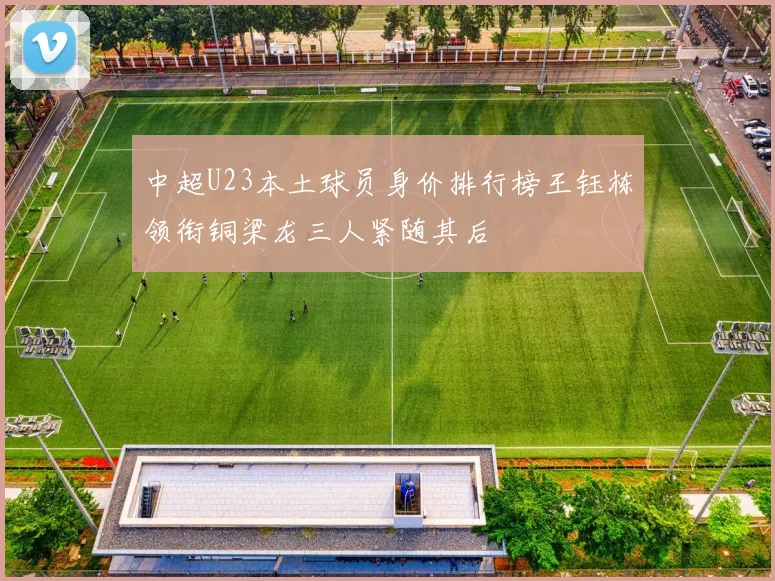 中超U23本土球员身价排行榜王钰栋领衔铜梁龙三人紧随其后